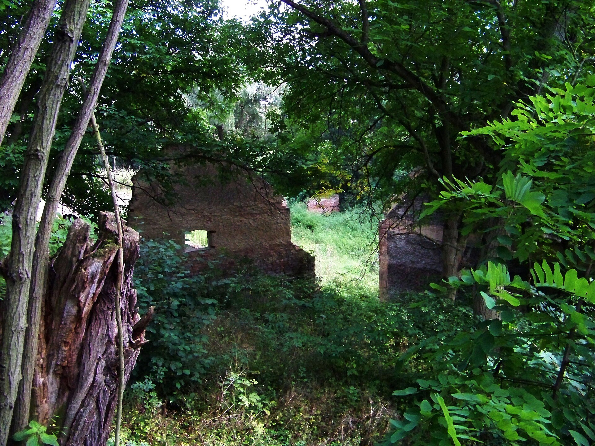 Truneček’s Mill